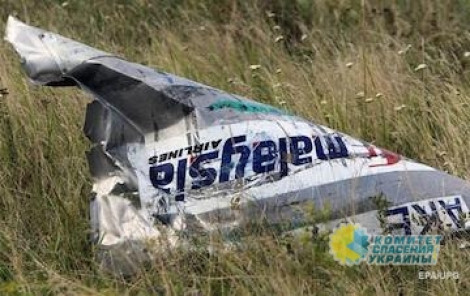 Голландия отказалась привлекать Украину к ответственности за крушение пассажирского «MH17»