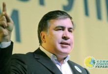Владимир Олейник: Саакашвили мечтает возглавить систему ограбления Украины, созданную Порошенко
