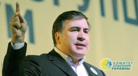 Владимир Олейник: Саакашвили мечтает возглавить систему ограбления Украины, созданную Порошенко
