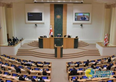 Парламент Грузии заявил о поддержке Украины