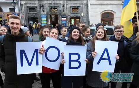 Языковой закон не соответствует Конституции