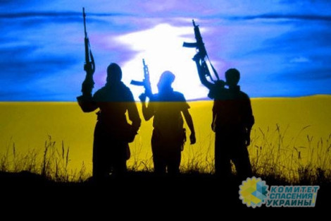 Владимир Олейник: Украинский ИГИЛ или что построили США в Украине?