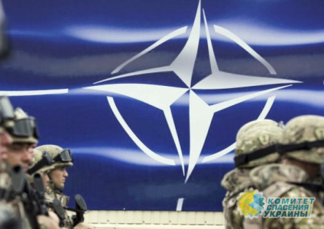 Члены НАТО приостанавливают своё участие в Договоре об обычных вооружённых силах в Европе