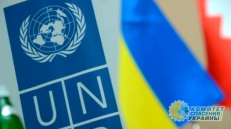 ООН призвали Украину отменить ограничения по выплате пенсий в ЛДНР