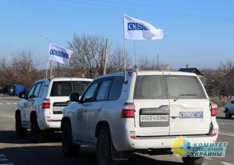 Миссию ОБСЕ надо гнать из Донбасса, как соучастника преступлений