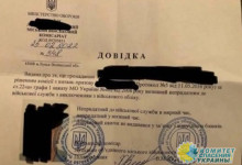 На Украине проверят все справки об инвалидности и непригодности к службе