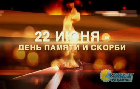 Азаров разоблачил очередную ложь киевских СМИ по поводу нападения фашистов на Советский Союз