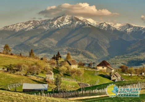 Практически выбрался из концлагеря Зеленского...