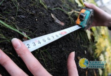 Отобрав волю и власть, у украинцев хотят отнять еще и землю