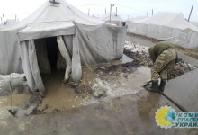 "Ад на земле": фото с украинского военного полигона "Широкий лан" снова шокировали Сеть