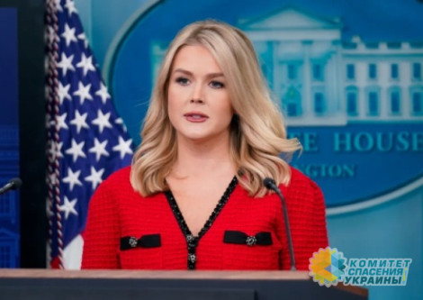 Трамп сосредоточен на продолжении переговоров с Россией и Украиной