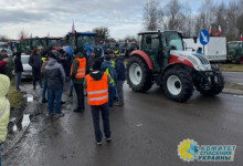 Польша призвала ЕС ограничить импорт украинского зерна