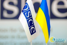В Киеве напали на французскую представительницу ОБСЕ
