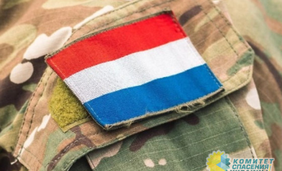 «Это одна сплошная коррумпированная банда»