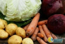 Еврокомиссия готова запретить ввоз сельхозпродукции из Украины