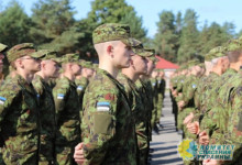 Правительство Эстонии обсуждает возможность отправки войск на Украину