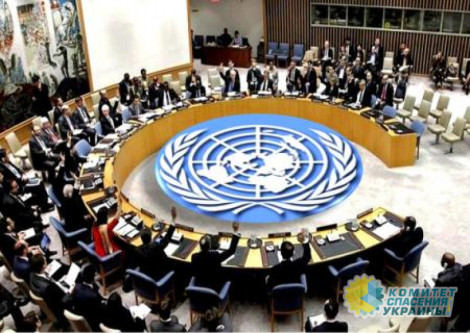 Елена Бережная и Фаина Савенкова выступили на заседании СБ ООН