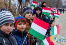 В Венгрии на новый закон об образовании в Украине отреагировали протестом