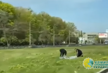 В Харькове разломали и разорвали плакаты с поздравлениями ко Дню Победы