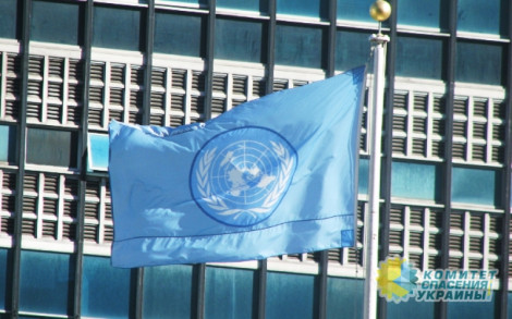 В ООН назвали число погибших и раненых мирных жителей за время конфликта на Востоке Украины