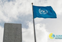 В октябре на Донбассе погибли 5 мирных жителей - ООН