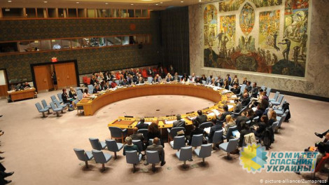Азаров, Олейник и Царев выступят в ООН