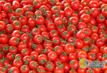 Экспортерам просто нечего поставлять на зарубежные рынки