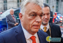 «Неопределенное образование»