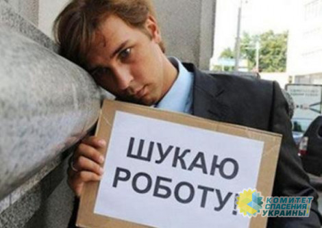 Стало известно, сколько украинцев за карантинный год стали безработными
