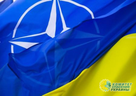 Россия готова к ответу