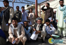 Арестович: афганских беженцев не надо бояться