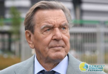 Жители Германии осудили Зеленского