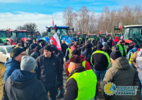 ЕС пренебрегает собственным народом в угоду Украине