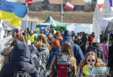 Им все должны, и никакой благодарности в ответ