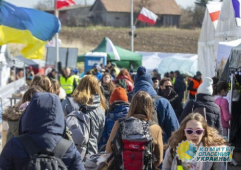 Им все должны, и никакой благодарности в ответ