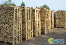 Зимой Украина согреет Евросоюз дровами