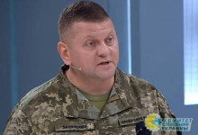 Залужный с февраля уволил 10 генералов