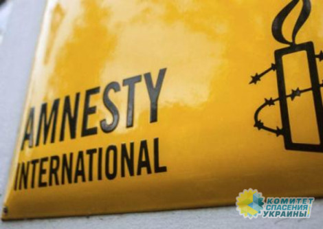 В Amnesty International извинились перед режимом Зеленского
