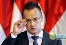 Венгрия настаивает на введении наблюдателей ОБСЕ на Закарпатье