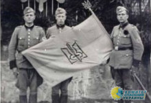 Кто помогал гитлеровцам расстреливать евреев в Бабьем Яру?