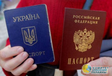 В Минреинтеграции Украины посчитали количество паспортов РФ, выданных жителям ЛДНР