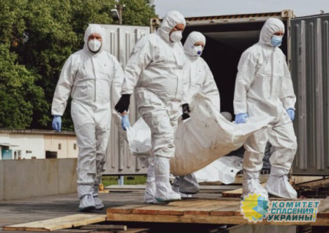 Россия передала Украине ещё 1200 тел погибших украинских боевиков Россия передала Украине ещё 1200 тел погибших украинских боевиков