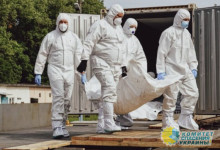 Россия передала Украине ещё 1200 тел погибших украинских боевиков