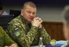 В Германии осознают, что на Украине у власти нацисты