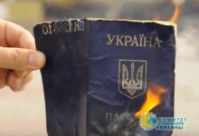 Украинцы десятками тысяч отказываются от украинского гражданства