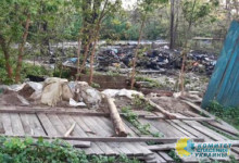 В Киеве националисты избили ромов и сожгли их палатку