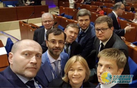 Азаров прокомментировал инцидент в ПАСЕ с украинской делегацией