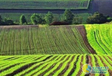 CБУ принуждает украинских фермеров отказываться от земли
