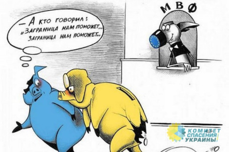 В МВФ выступили против повышения минимальной зарплаты украинцам