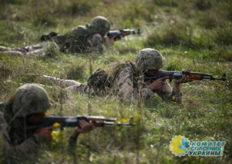 Хорватский журналист выступил против обучения украинских военных